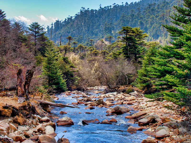 Jigme Dorji National Park